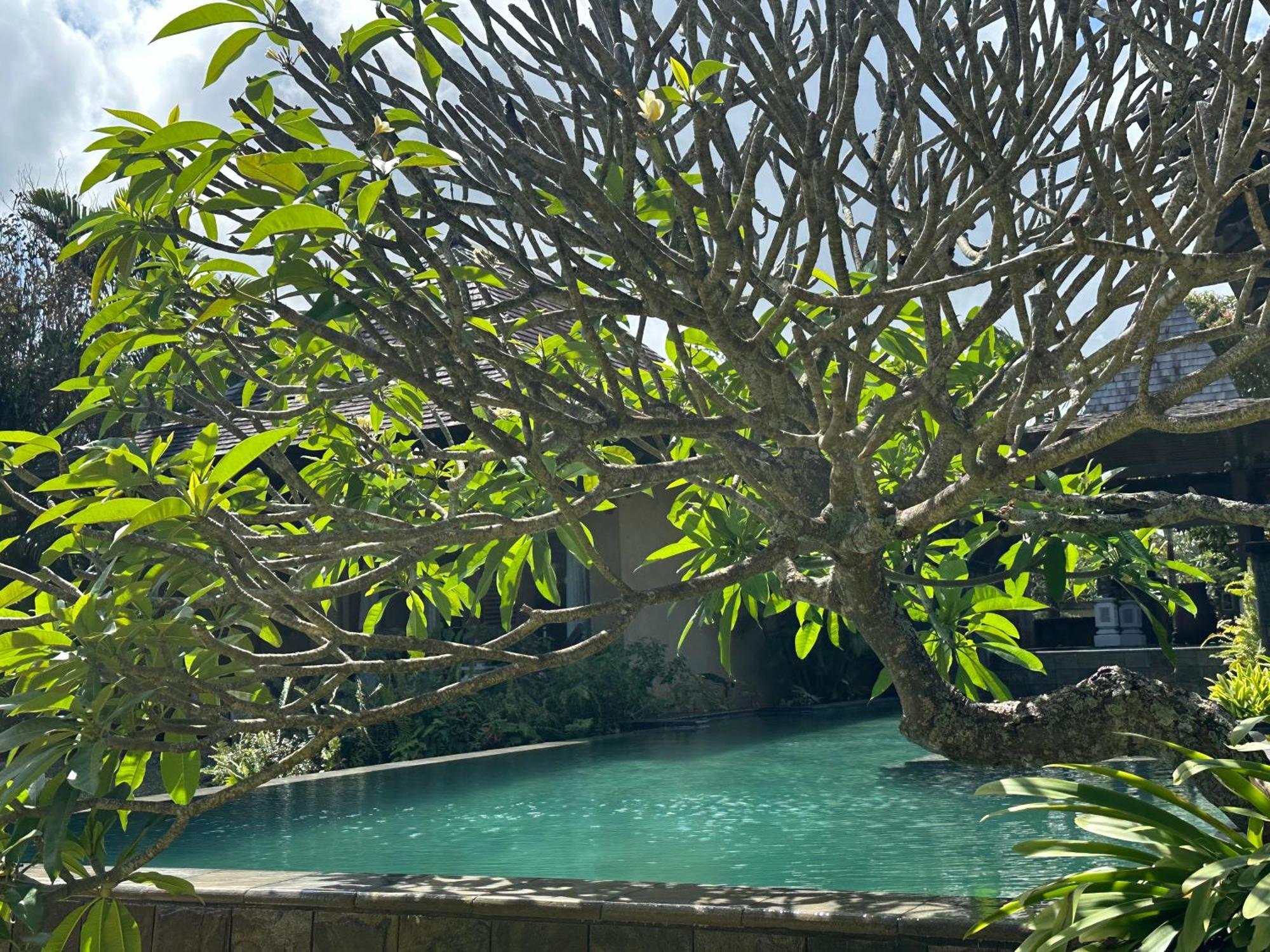 Villa Serenite Bel Ombre Dış mekan fotoğraf